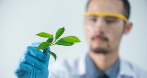 De wetenschap van productiviteit – Efficiëntie maximaliseren in een drukke wereld